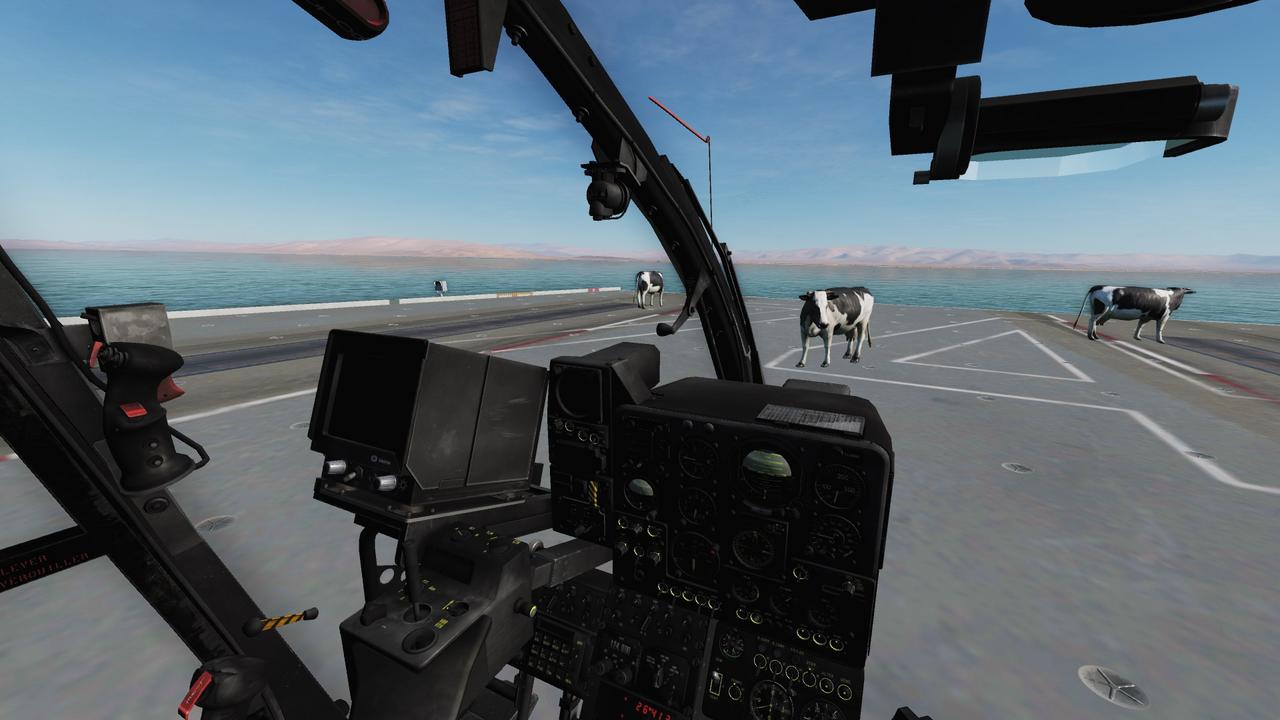 carrier-cows2.jpg
