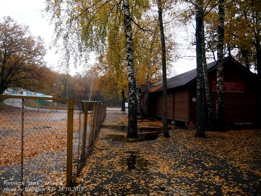 Воронеж, осень, парк