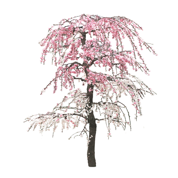 1a42a5e3b43e7bcee59d576ed173db02