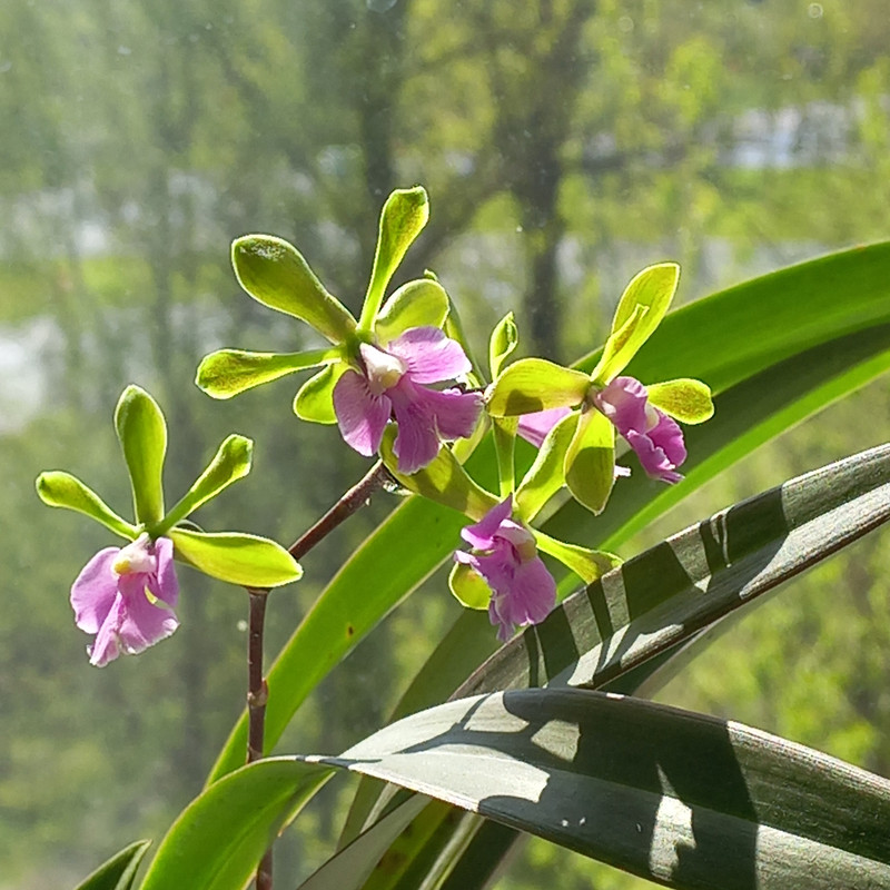 Oj SNNQ JInbh0yan G8429jnid21LKPN8a7Boe ELIQ5q EV7u Lcb7U qd2r2RY9d L5O6qae UJNwm IQVdgk I7q Fxn