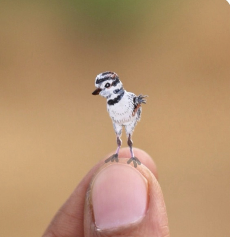 B7D06B65-59DE-4057-8F7C-A6FEBCEEF946