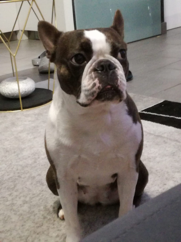 3371F161-FE55-4C72-BC7E-9B7F03169F7A