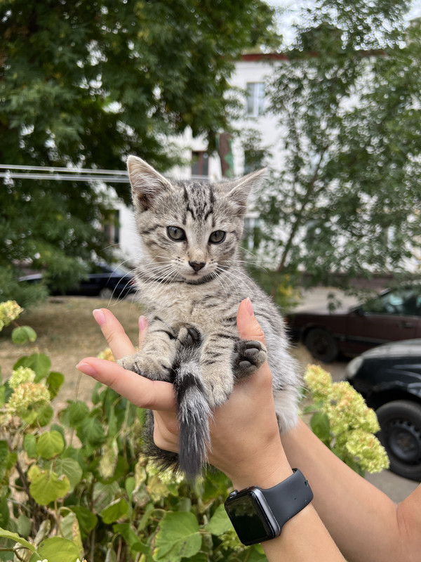 A0261E50-7C57-4BE2-8EFB-BA84A49D37CD