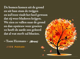 Toon-hermans