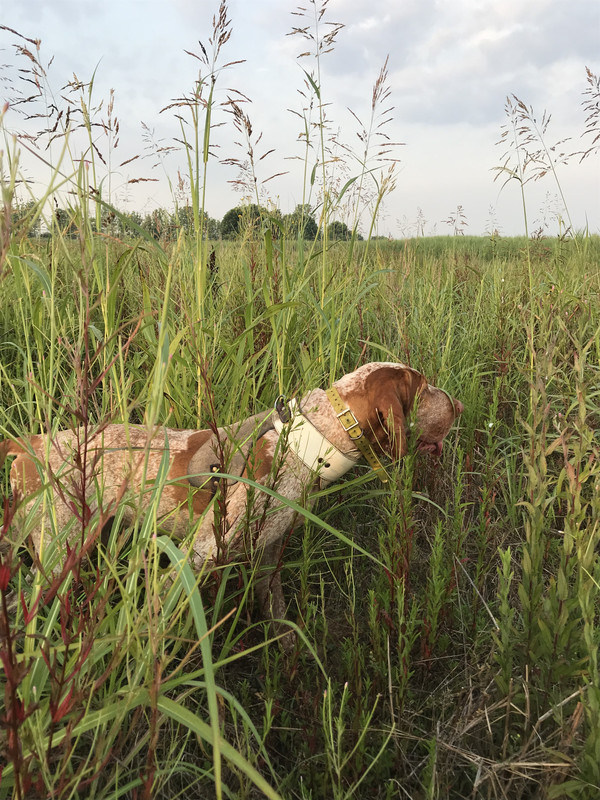 AE9971F6-5E92-4979-82D4-D2EEB889F248