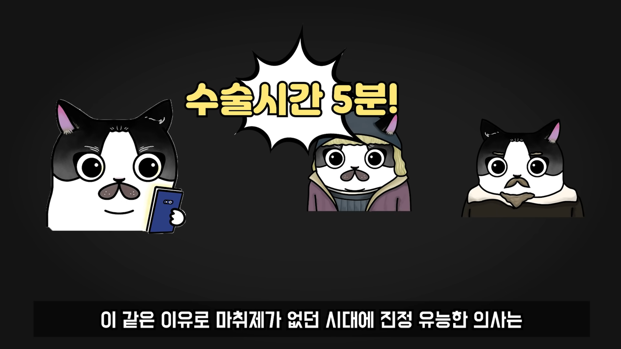 마취제 없이 어떻게 수술했을까_／사망률 300%의 수술_ 8-26 screenshot