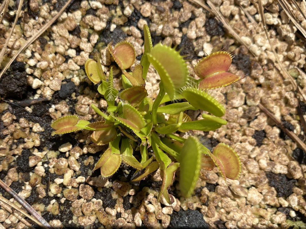 C24AAE2E-1998-4BB8-A21F-015B20388CBA