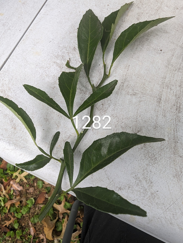 PXL_20230816_164545505~3
