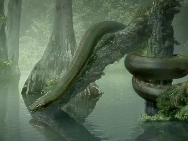 [صورة: titanoboa-largest-snake-10354-1-1697303350.webp]