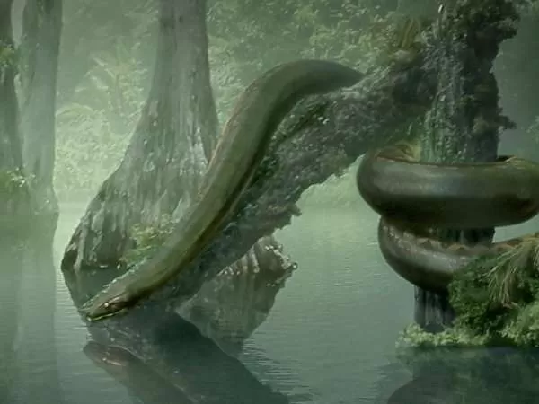 [Image: titanoboa-largest-snake-10354-1-1697303350.webp]