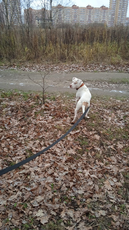 AA2624C9-CF3F-433E-ABF2-FB50C961285C