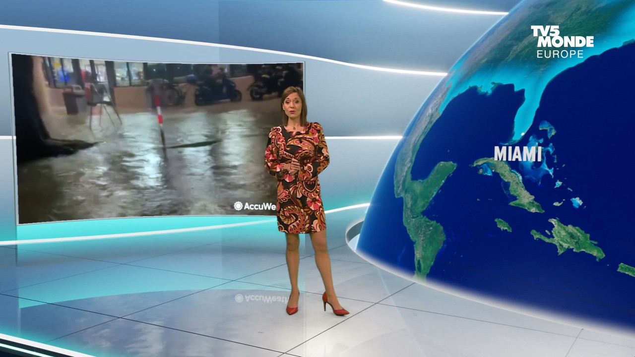 01.12 - 17.27.00 - Météo. Le bulletin météorologique international.ts_snapshot_06.54.665