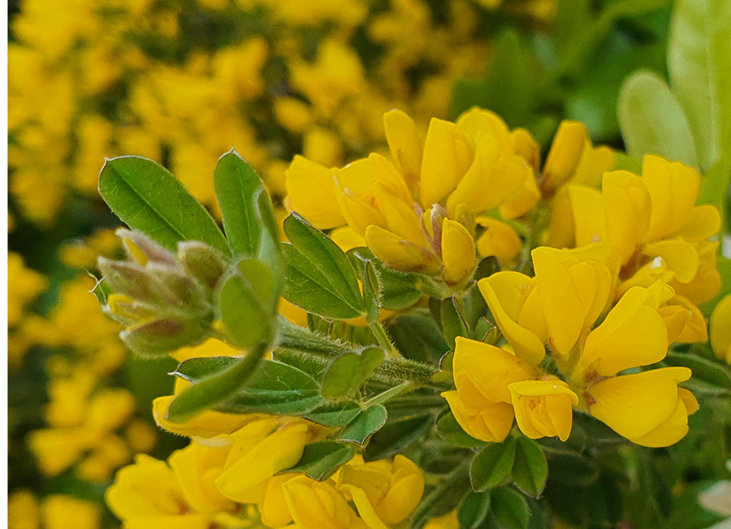 [Image: z20240422-144352.jpg]