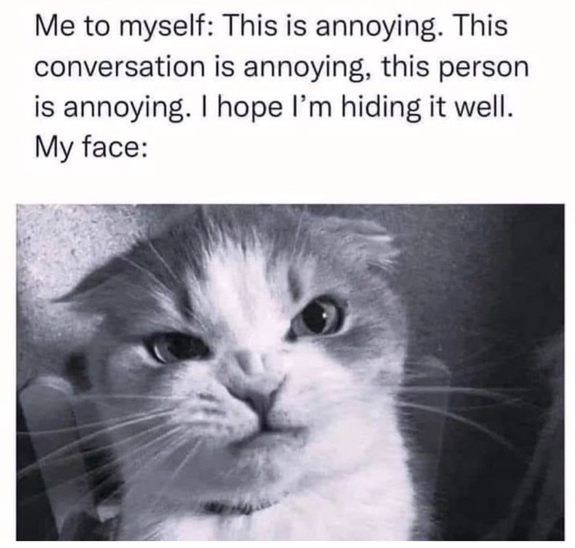 Screenshot_20231223_040018_Instagram