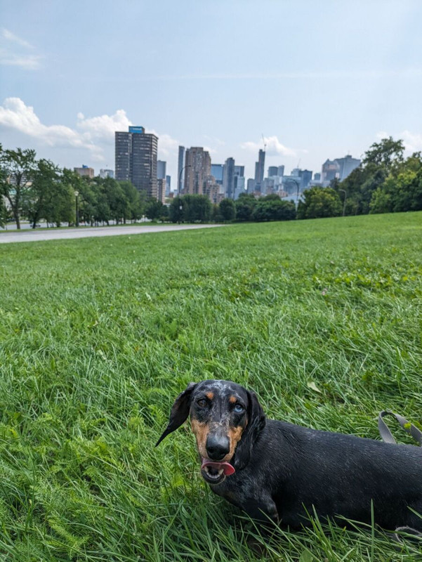 [Image: image000000-308.jpg]