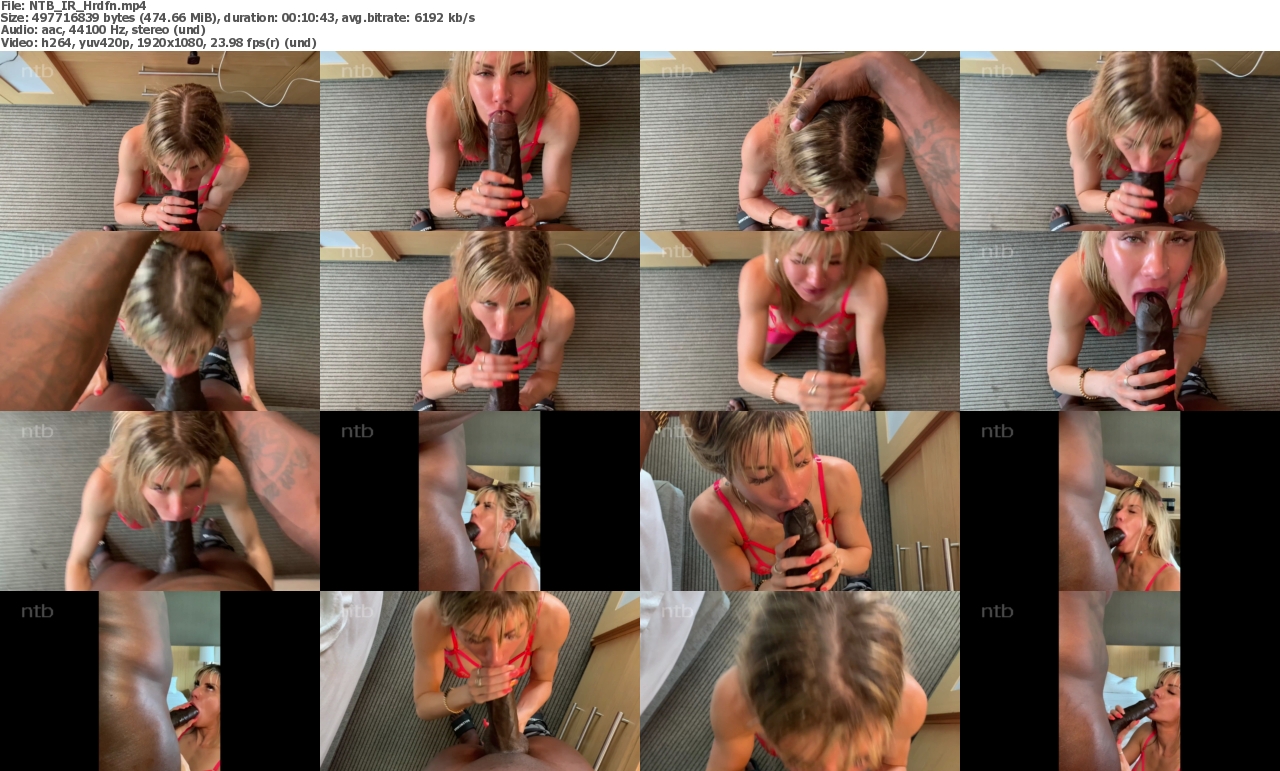 02042024081951screenshot