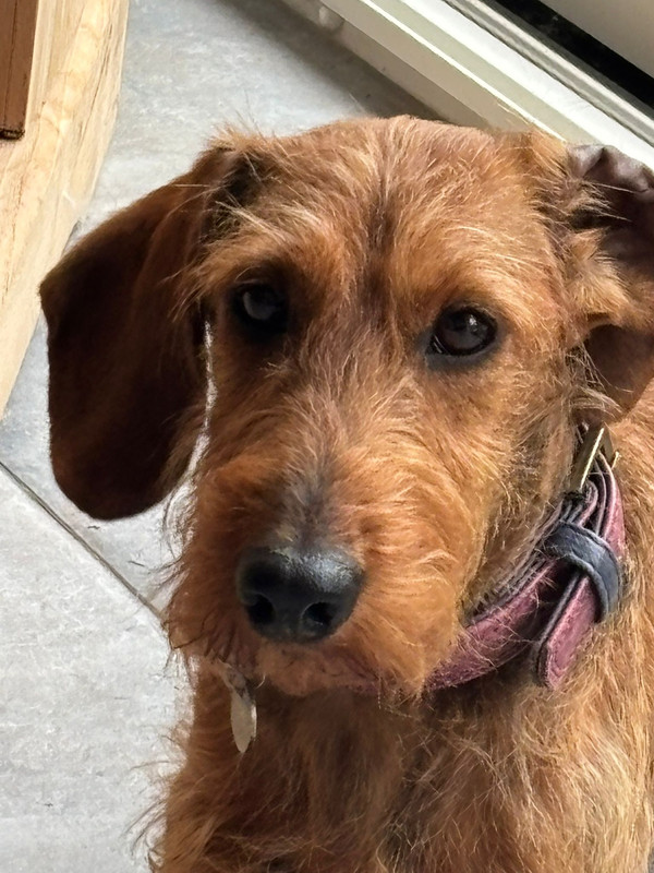 [Image: IMG-20250922-WA0012.jpg]