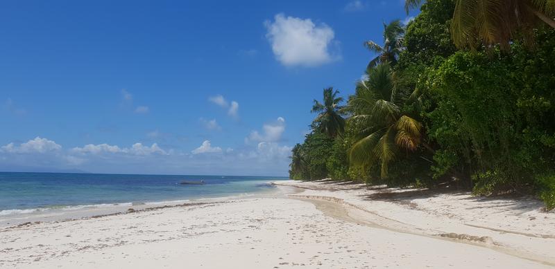 DÍA 4:  PRASLIN (sur) - Seychelles-2ª parte de nuestra luna de miel. Se puede pedir más? (7)