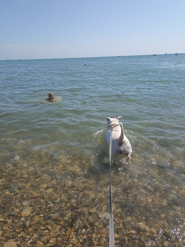 A8A1D791-EA2E-4E0E-AF4B-675CF3CB9D0C