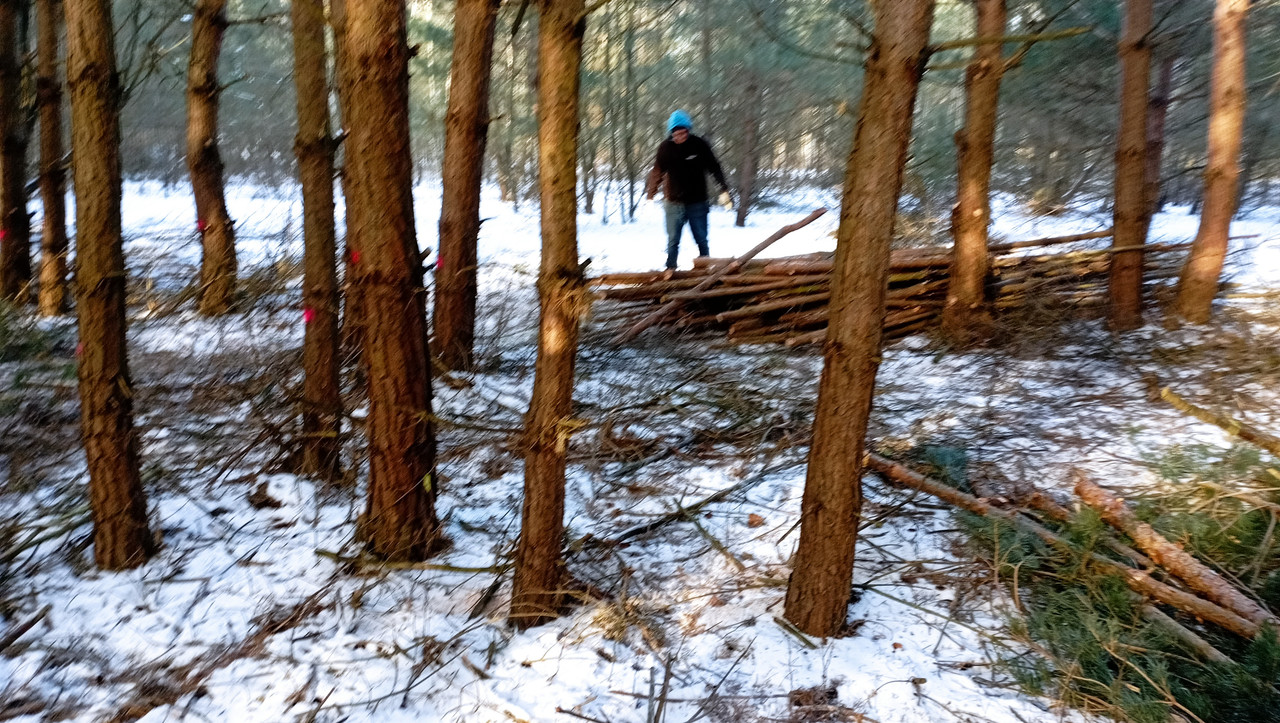 [Obrazek: IMG-20260105-111659.jpg]