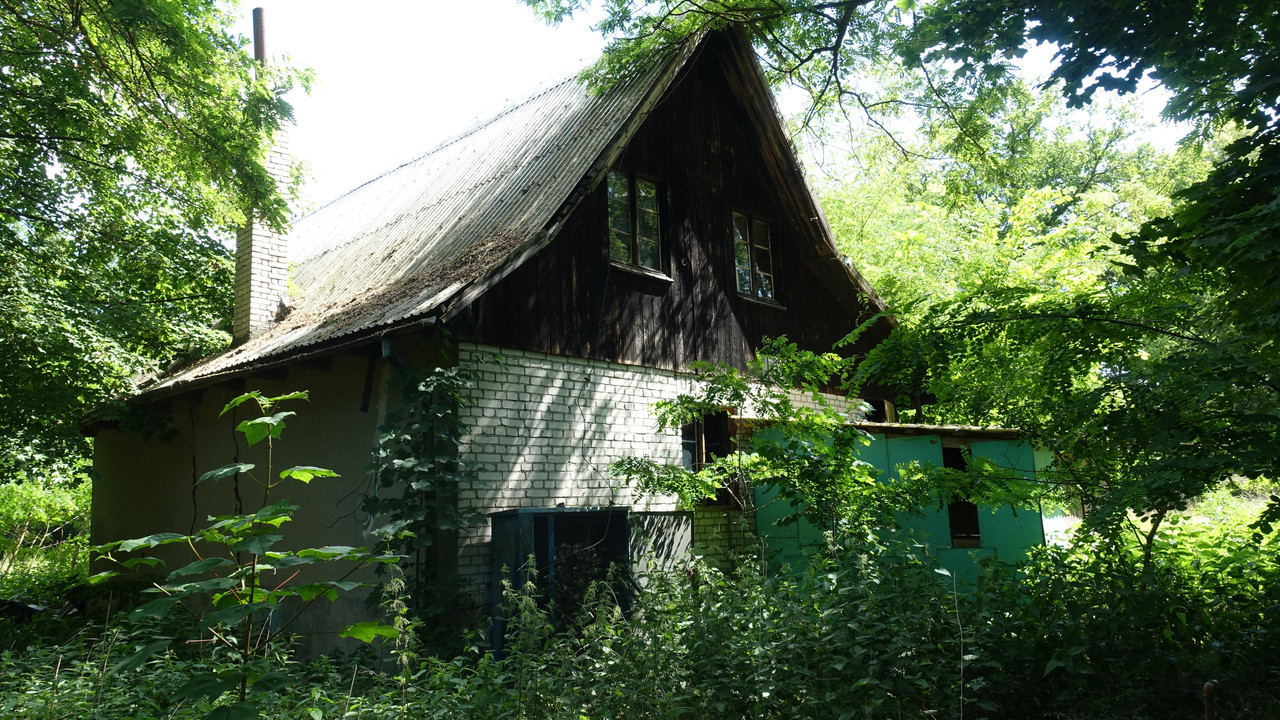 07.07 - DSC03149 (Barabasz)