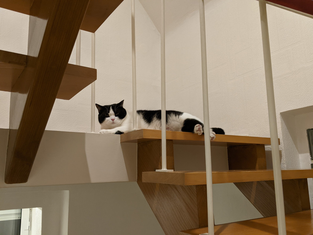 PXL_20201227_184647807