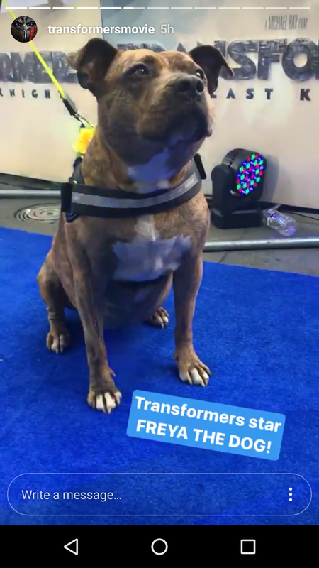 1497842561-screenshot-20170619-001815