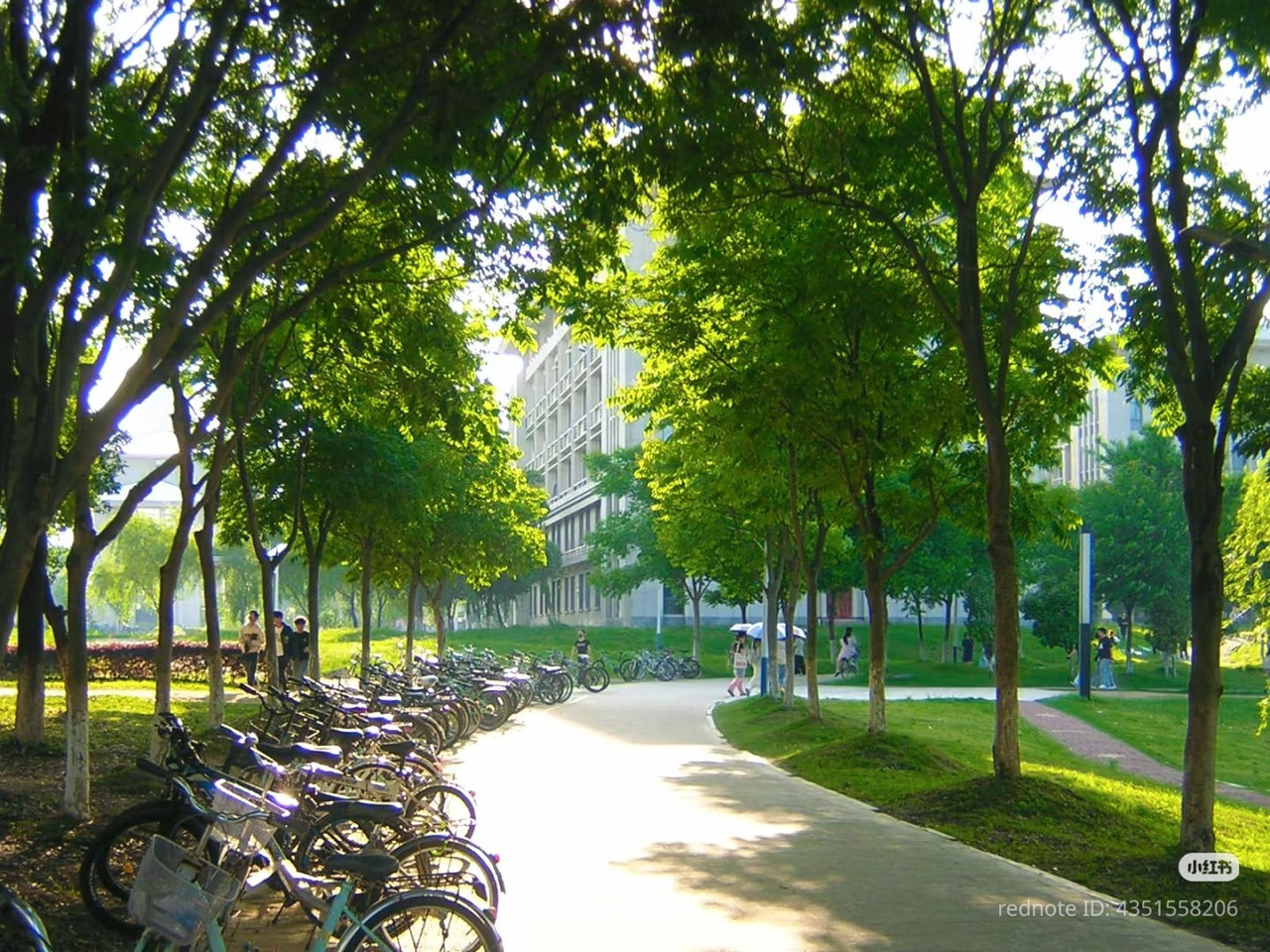 photo 1 2025 12 24 16 22 41