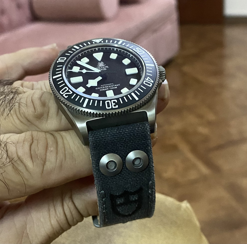 403B6DB4-E190-499E-9C29-768D00170C06