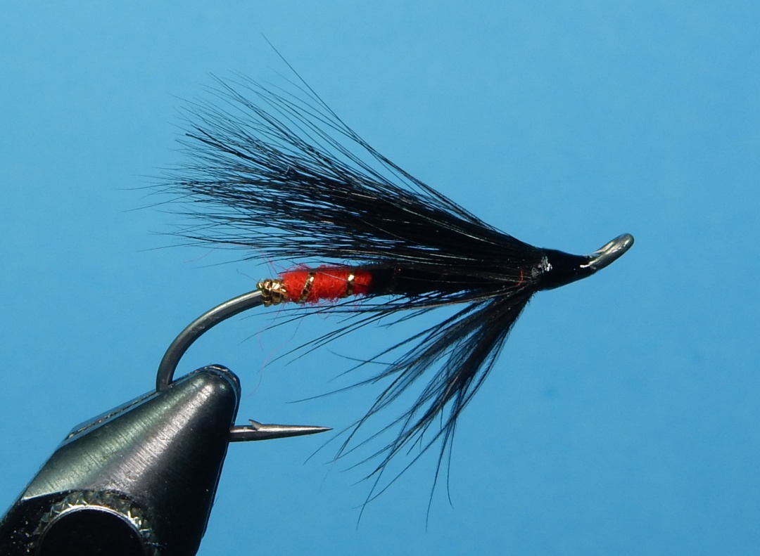 Black-Gordon-2-1080.jpg