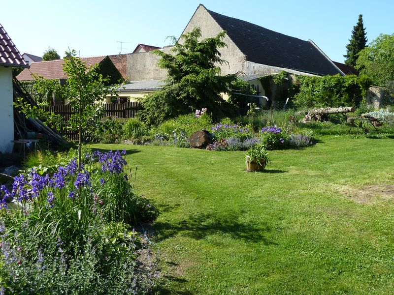 2013-06-07 Garten3