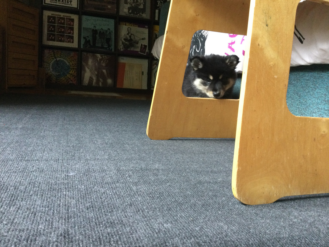 52D3EAFA-90C5-455E-9818-80FADF339C87