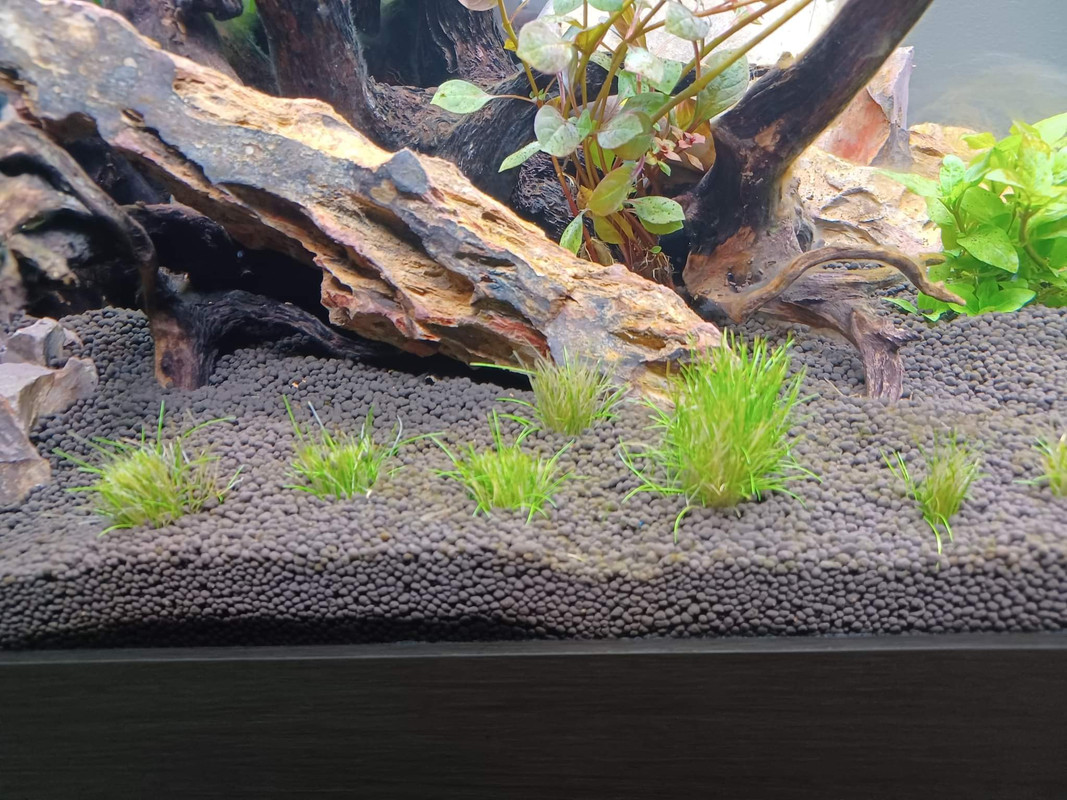 received_589038866203415