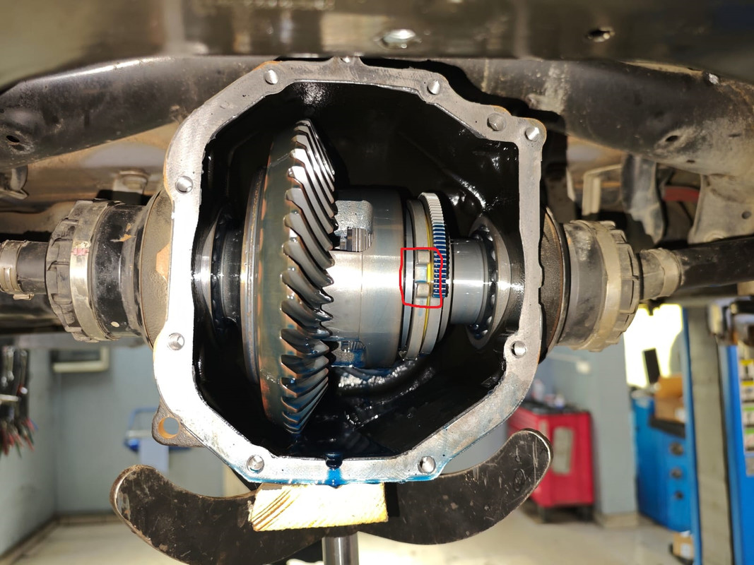 Zdjęcie WhatsApp 2025-04-11 o 13.49.43_f7c9b8eaaaa