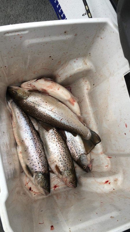 3DADD434-C737-4BC6-BB01-AF34682751F6