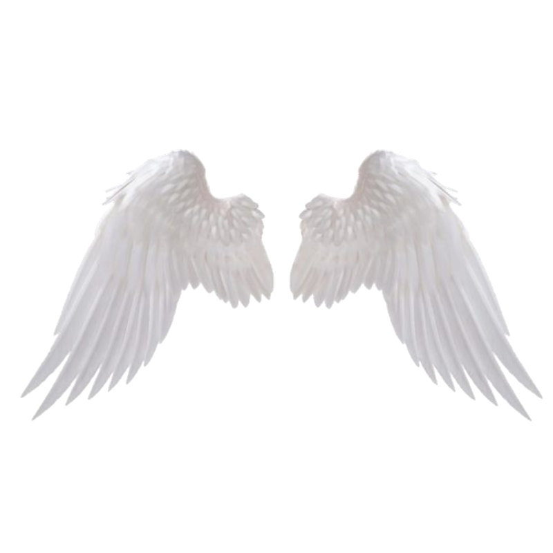 white 31