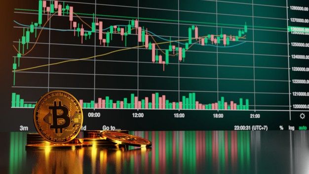 Crypto Info Hub