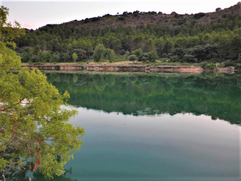 LAS LAGUNAS DE RUIDERA-30-6-2010-CIUDAD REAL - Paseando por España-1991/2016 (8)