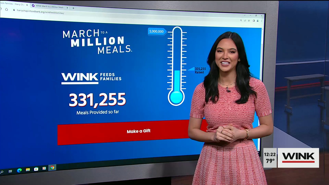 02.07 - 17.00.00 - The WINK Noon News  ᴺᵉʷ. Midday news update..ts_snapshot_29.13.429