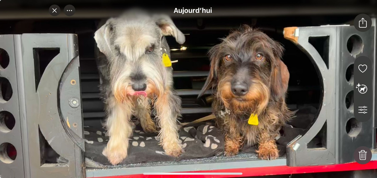 [Image: IMG-20250103-WA0001.jpg]