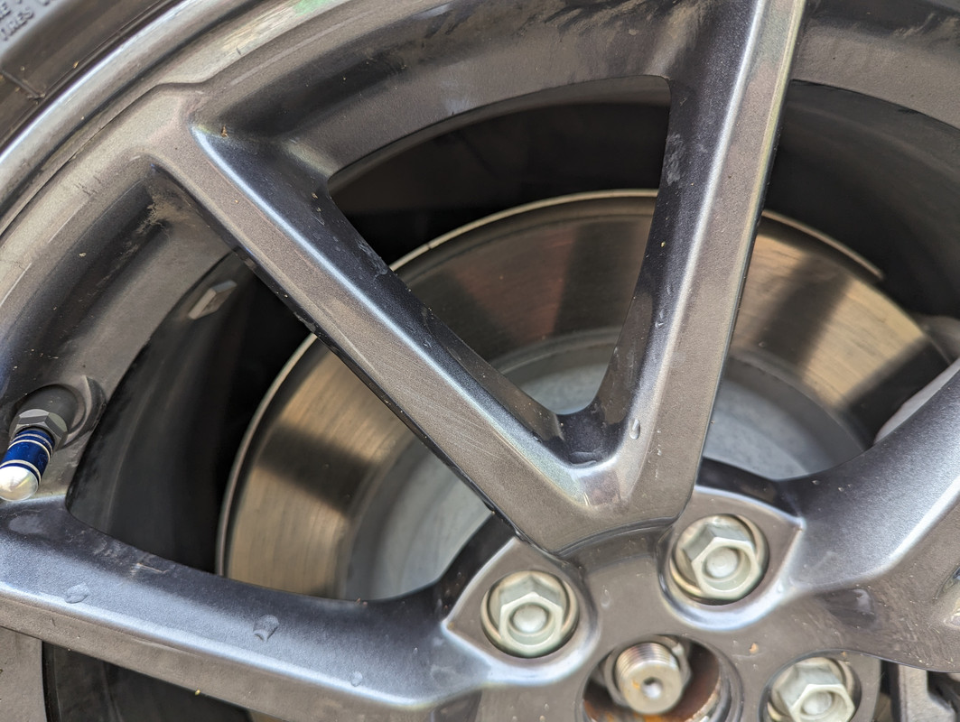 PXL_20230619_061512347