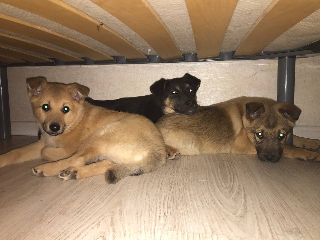 ED8EEEFC-E137-46C7-801A-4A30252DE0F5