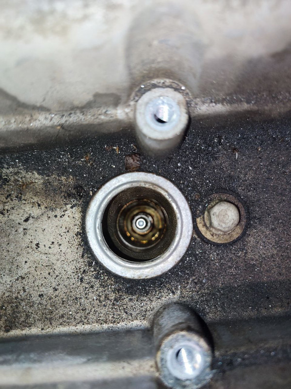 photo_2024-04-13_17-00-15 (3)