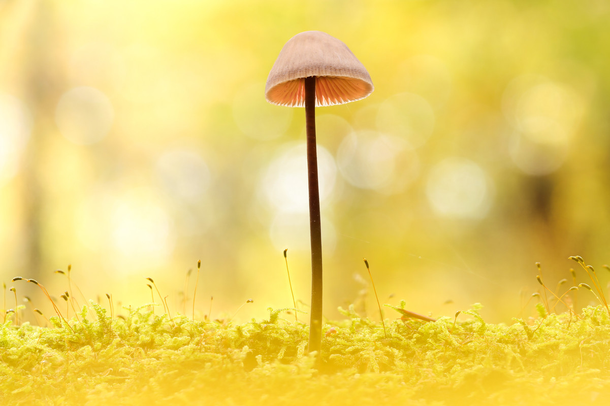 2025 10 26 10 26 12 A R5 S3 2