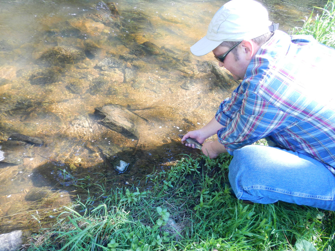 Копировать DSCN4168