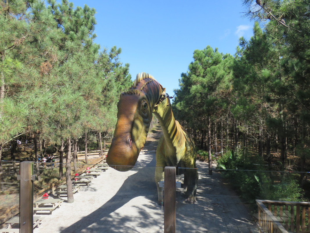 IMG 3132 — Postimages