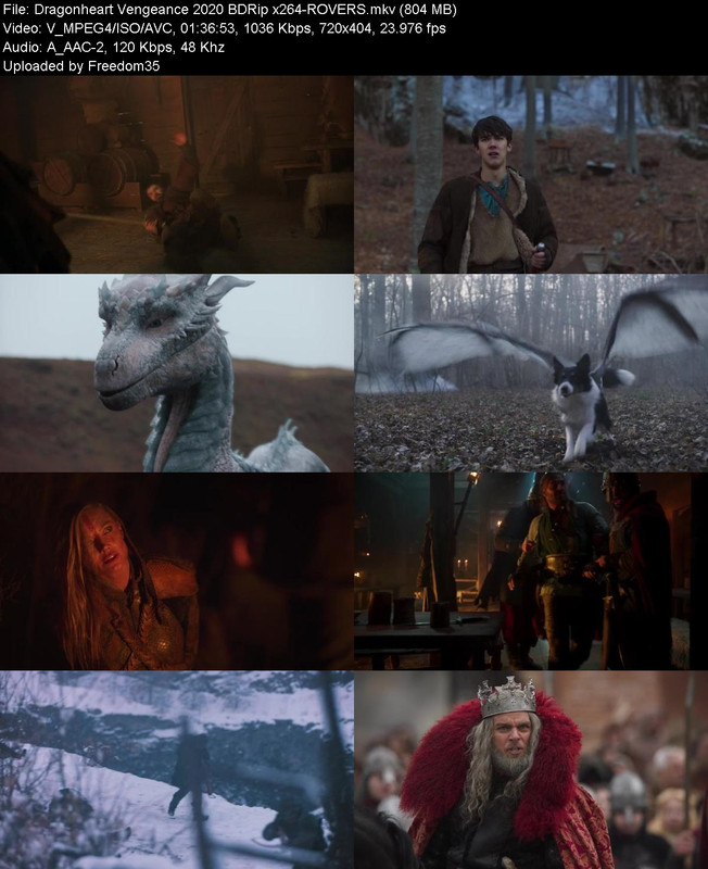 Dragonheart-Vengeance-2020-BDRip-x264-RO