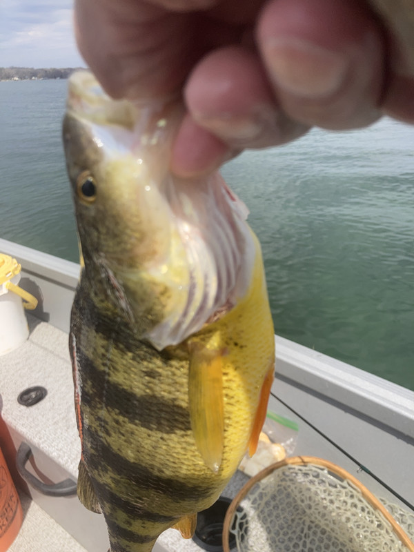 1B61AC79-9CB4-4881-BF6D-9BA25072C8D6