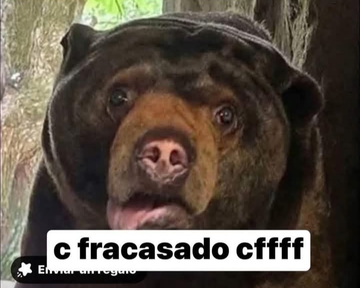 https://i.postimg.cc/Y2dV8BRb/IMG-20250504-182444.jpg