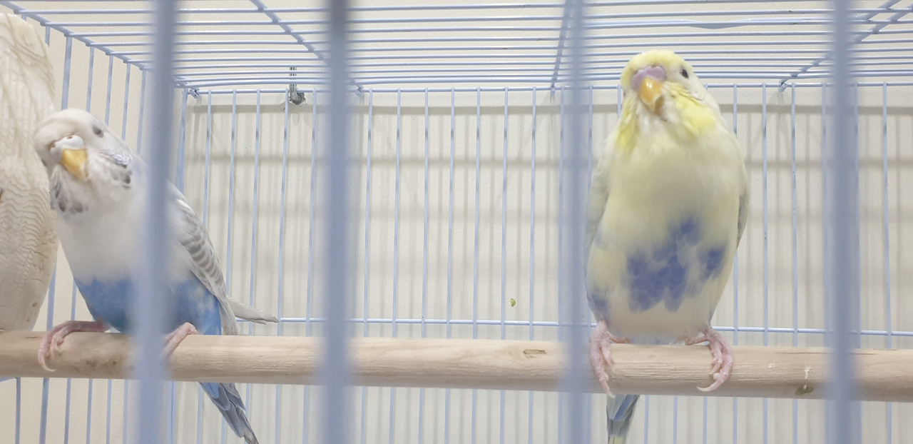 ٢٠٢٠١٠١٨_١٧٠٤١٤